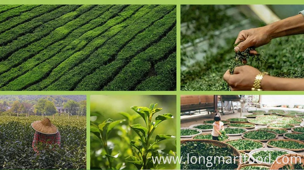 Low Fat 330ml Custom Aluminum Canned Jin Jun Mei Flavor Black Tea Custom Label Low Price Many Flavour Tea Drink in Can